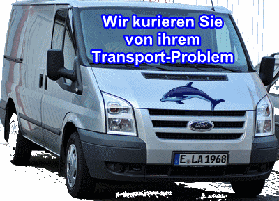 Wir kurieren ihr Transport Problem (2)